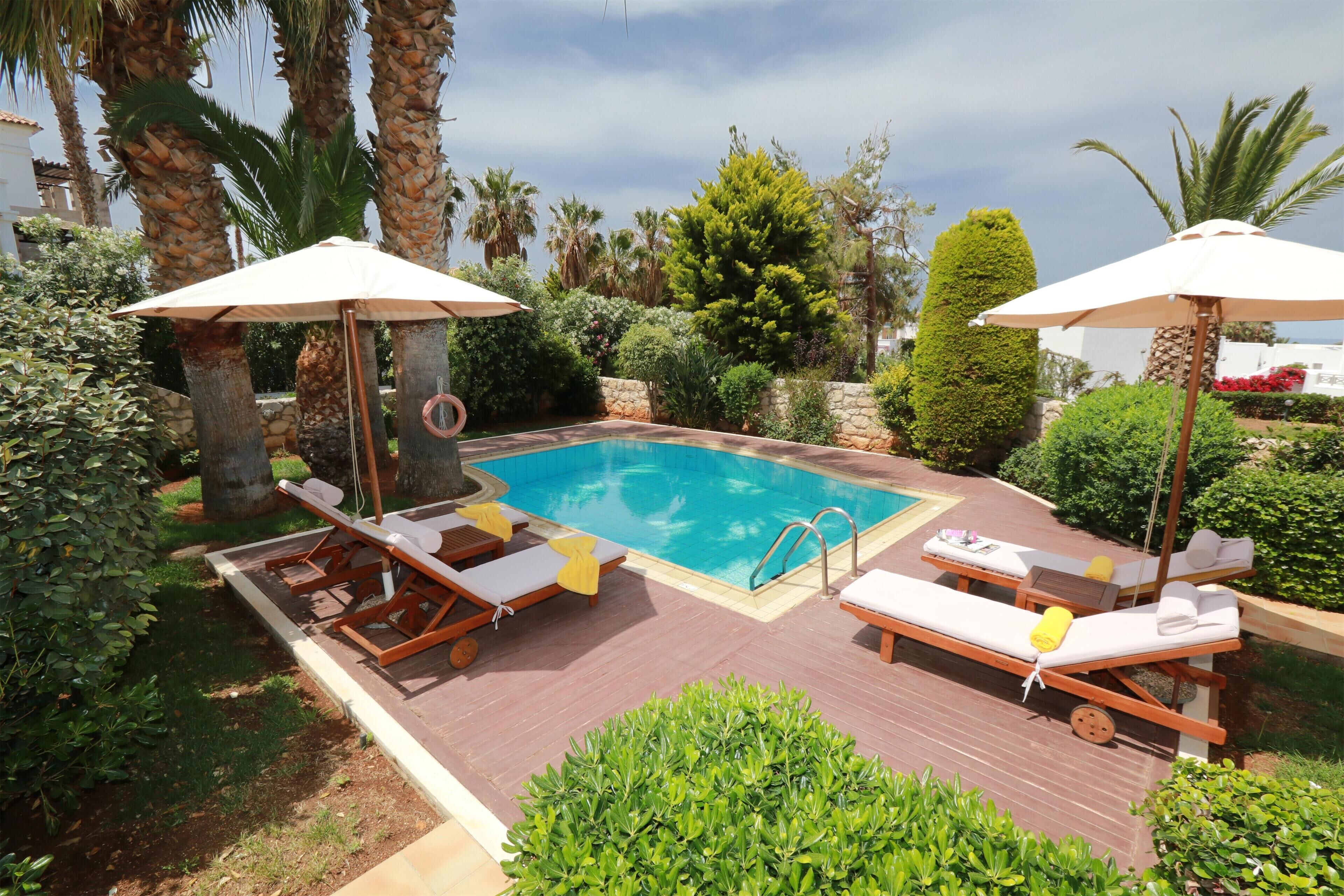 A swimming pool with lounge chairs and umbrellas, surrounded by greenery and palm trees.