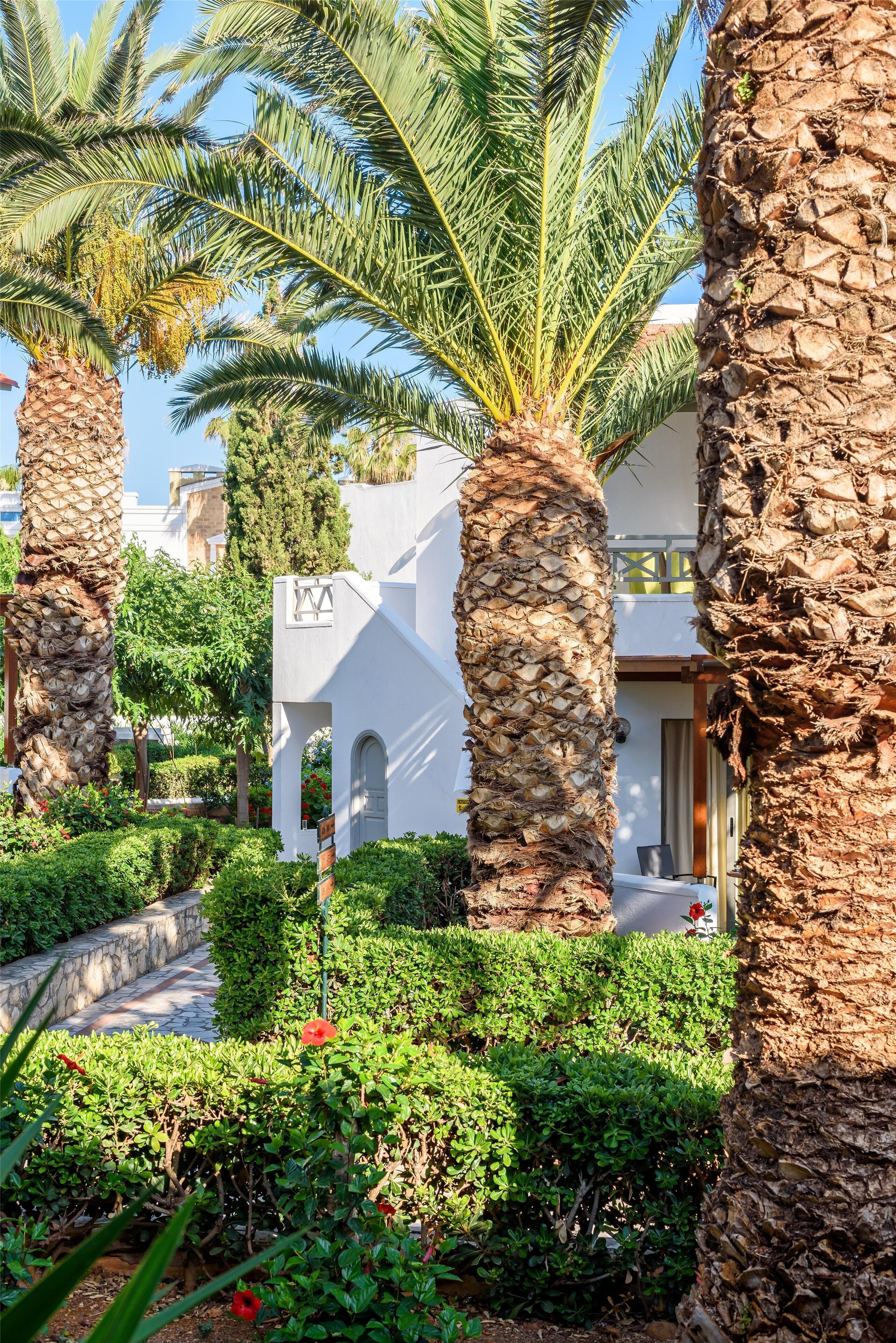 บริเวณภายนอก