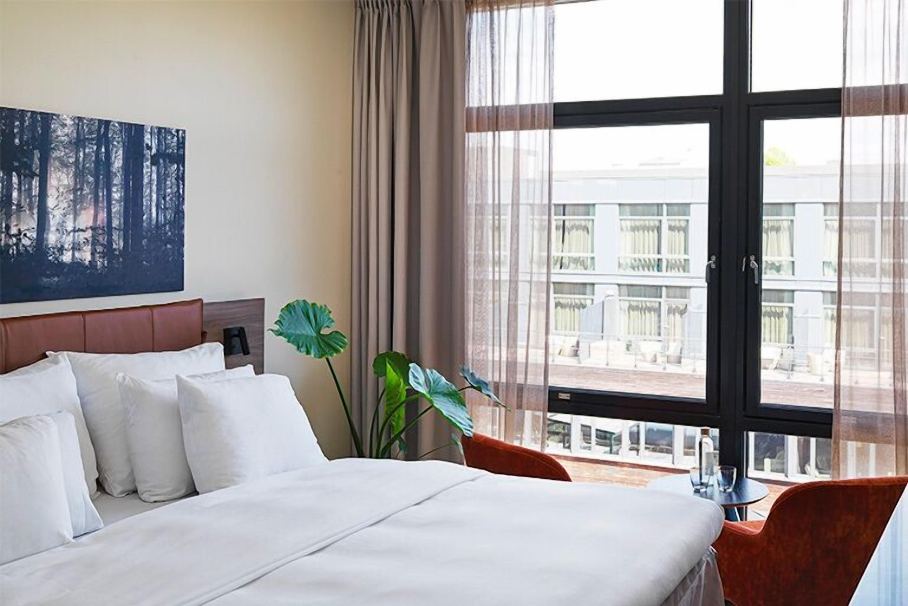 Sábanas de algodón egipcio y ropa de cama de alta calidad