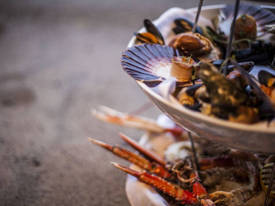 A seafood platter with various shellfish and a scallop shell.