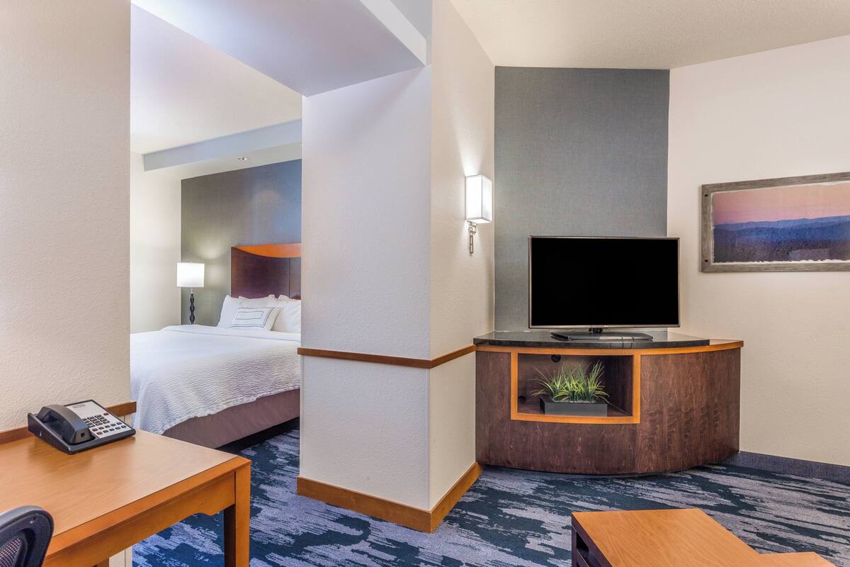 A hotel room with a bed, a desk with a telephone, a television on a wooden stand, and a small plant.
