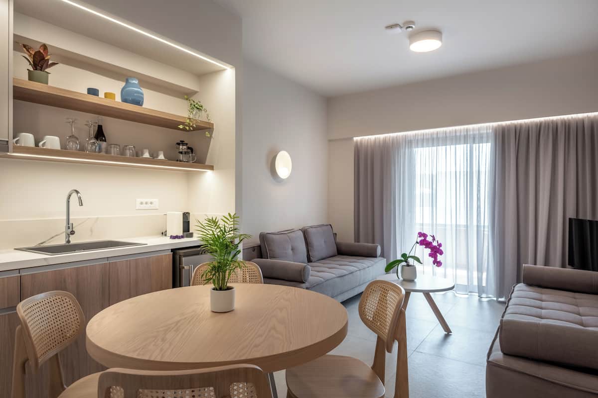 Premium One-bedroom Suite | 起居區 | 40-吋電視、衛星頻道、玩具