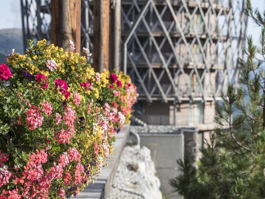 Una estructura de madera con armazón metálico, posiblemente un puente o pasarela, con flores coloridas en primer plano.