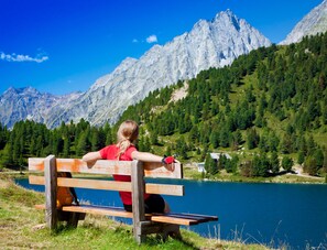 A person sitting on a bench overlooking a lake with mountains in the background. - Hotel Schönegg (Seefeld in Tirol)