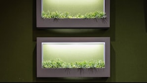 Two rectangular wall-mounted displays with a green backdrop and grass-like plants at the bottom. - the b ikebukuro (Tokyo)