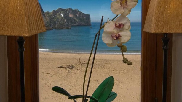 Janela com vista para uma praia, um vaso de planta e duas luminárias de chão.