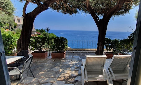 Vista desde la habitación