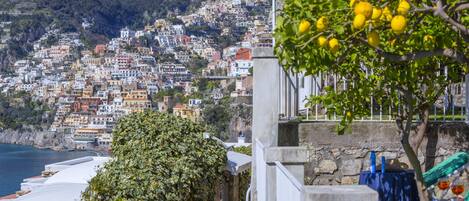 Un paisaje urbano costero con edificios juntos, vista al mar y un árbol con limones.