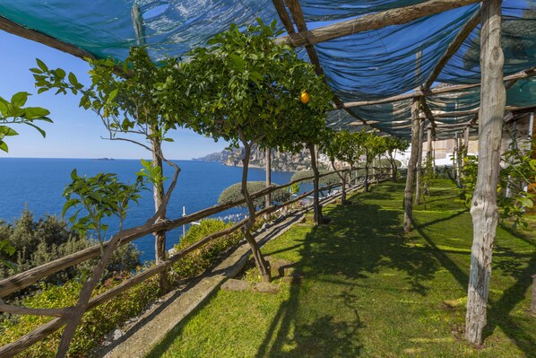 A coastal walkway with a wooden fence, a grassy path, and a view of the sea.