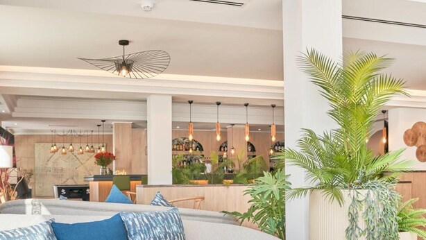 A modern living area with a curved sofa, a coffee table, and a large potted plant. - Flacalco Hotel & Apartments (Capdepera)