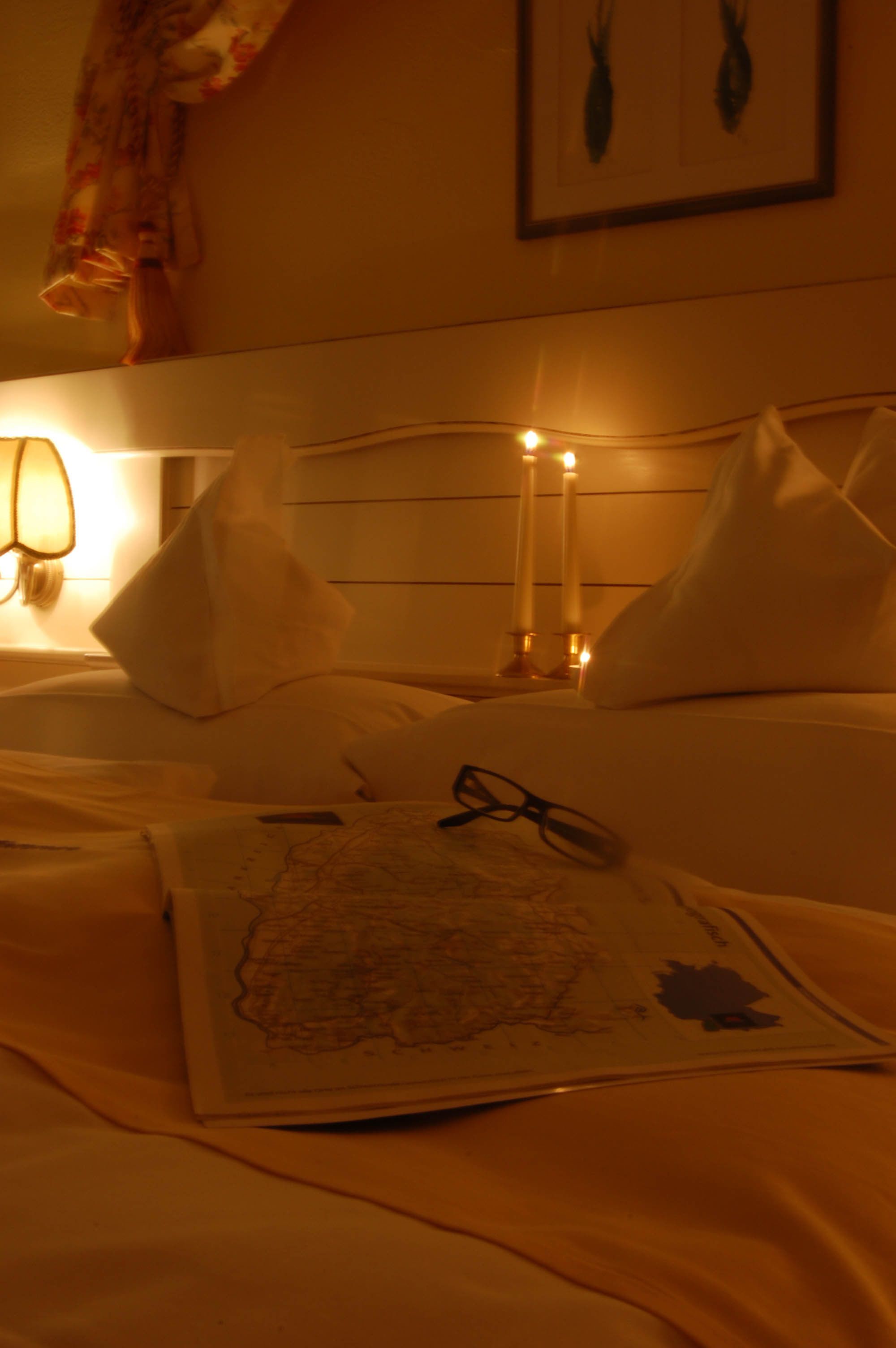 comfort double room (waldseite) | 1 bedroom, in-room safe, free wifi, bed sheets