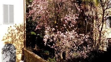 Doppelzimmer zur Einzelnutzung