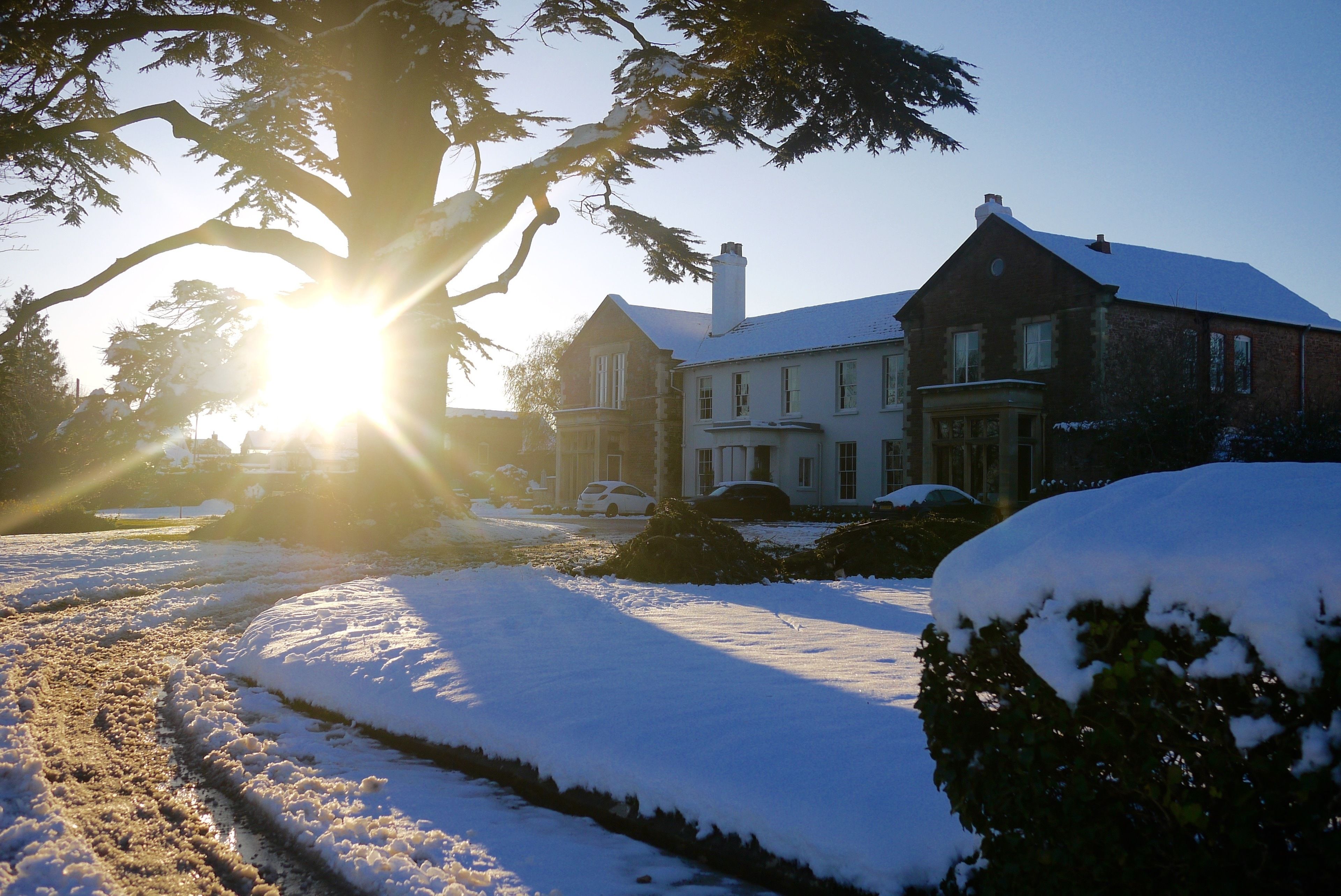 A snow-covered landscape with a large tree and a house in the background.
