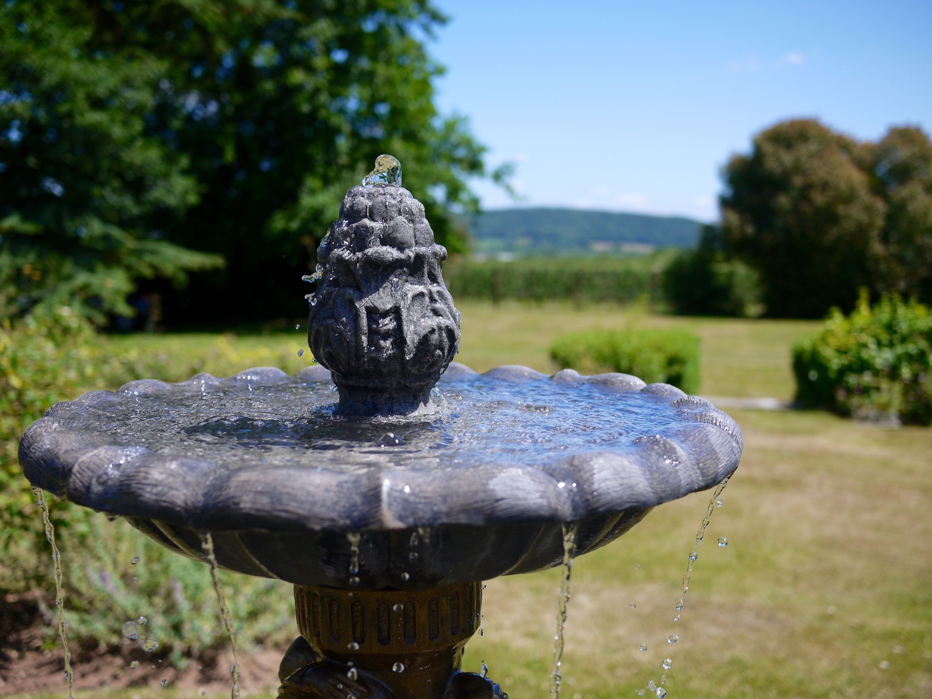 Une fontaine en pierre dont l’eau jaillit du centre, entourée d’une pelouse et d’arbres.