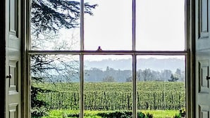 A window with a view of a green field and trees.