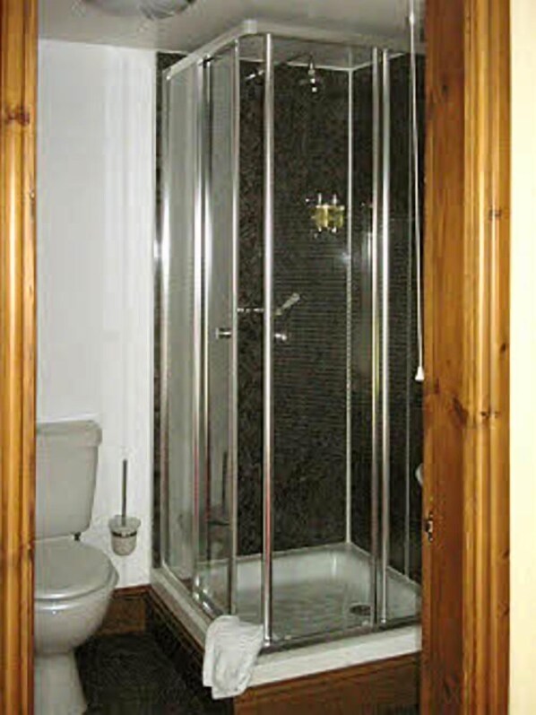 A bathroom with a glass-enclosed shower, a toilet, and a small trash bin. - Hall Bank Guest House (Hexham)