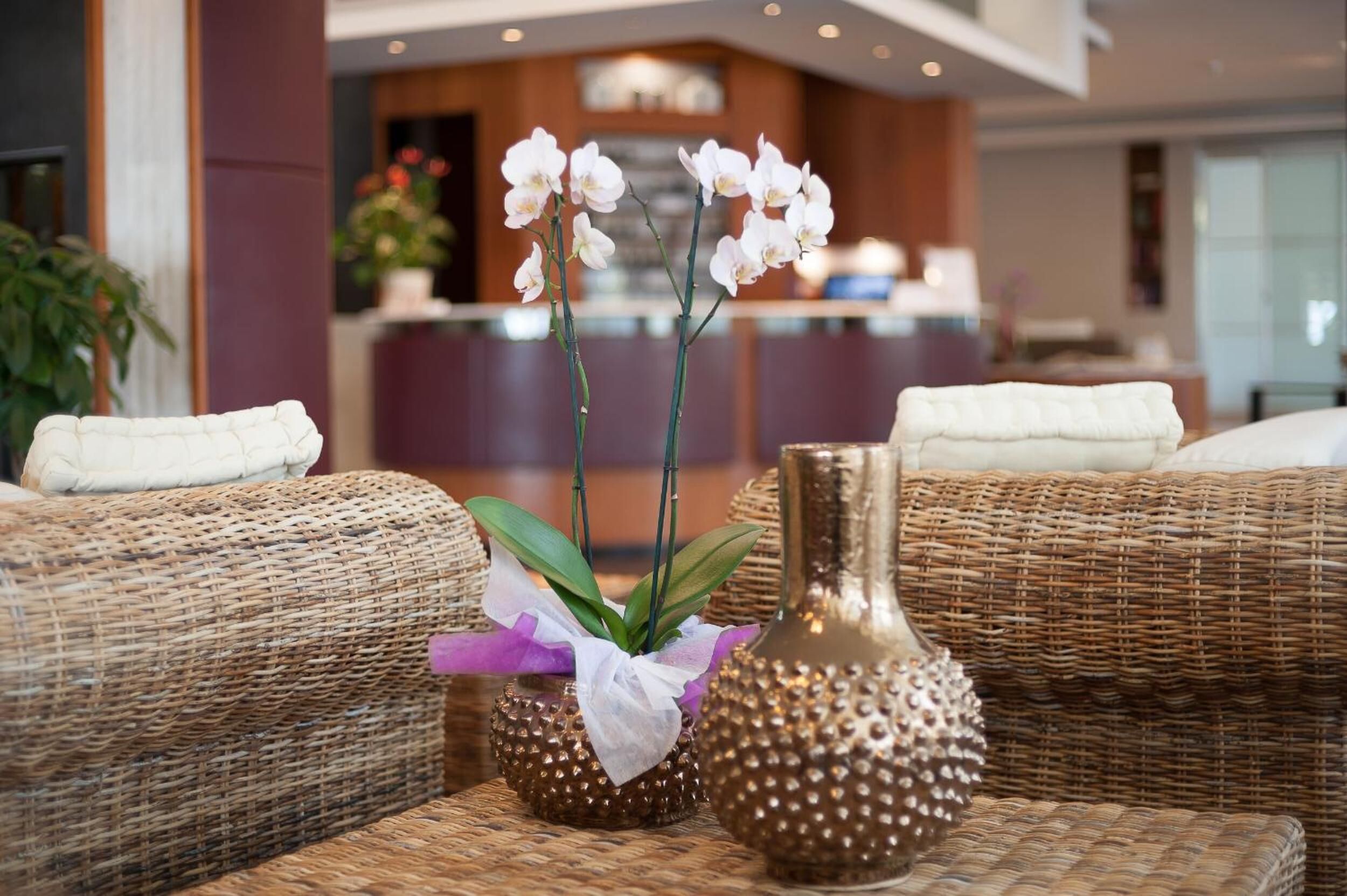 Foto - Hotel Negresco