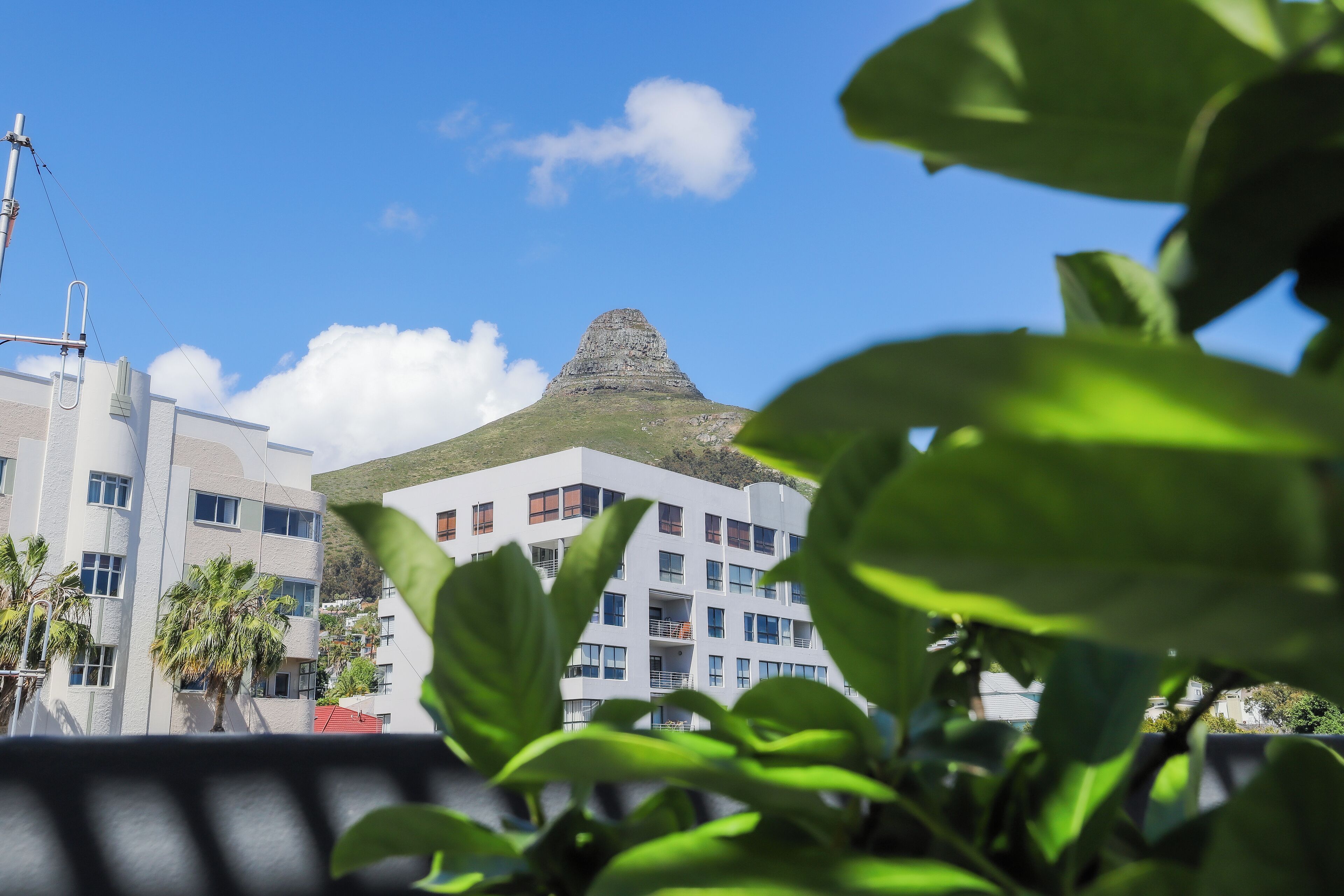A modern building with a unique pyramid-shaped roof, surrounded by greenery and other buildings.
