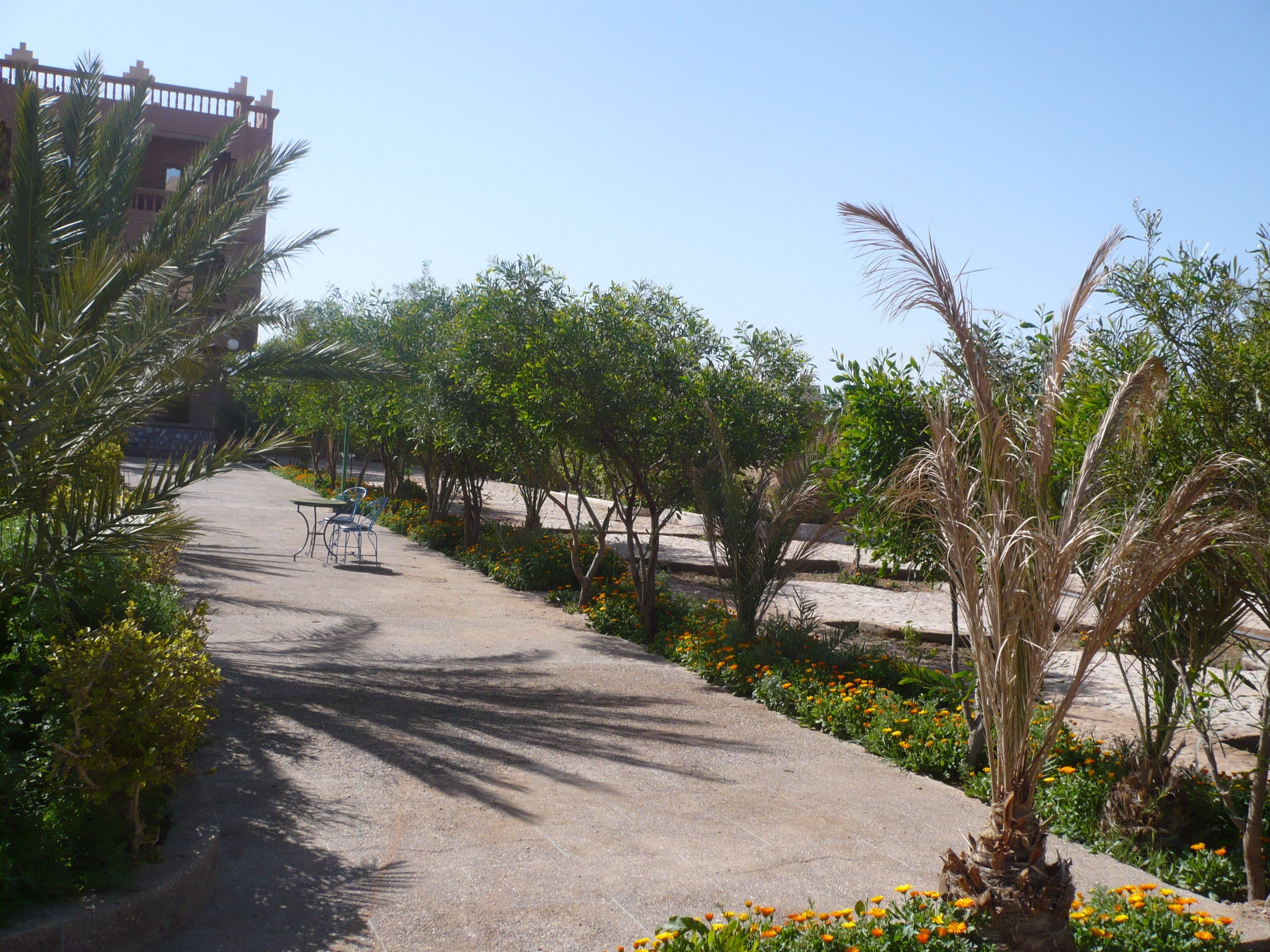 A pathway lined with trees and flowers, leading to a building with a balcony.