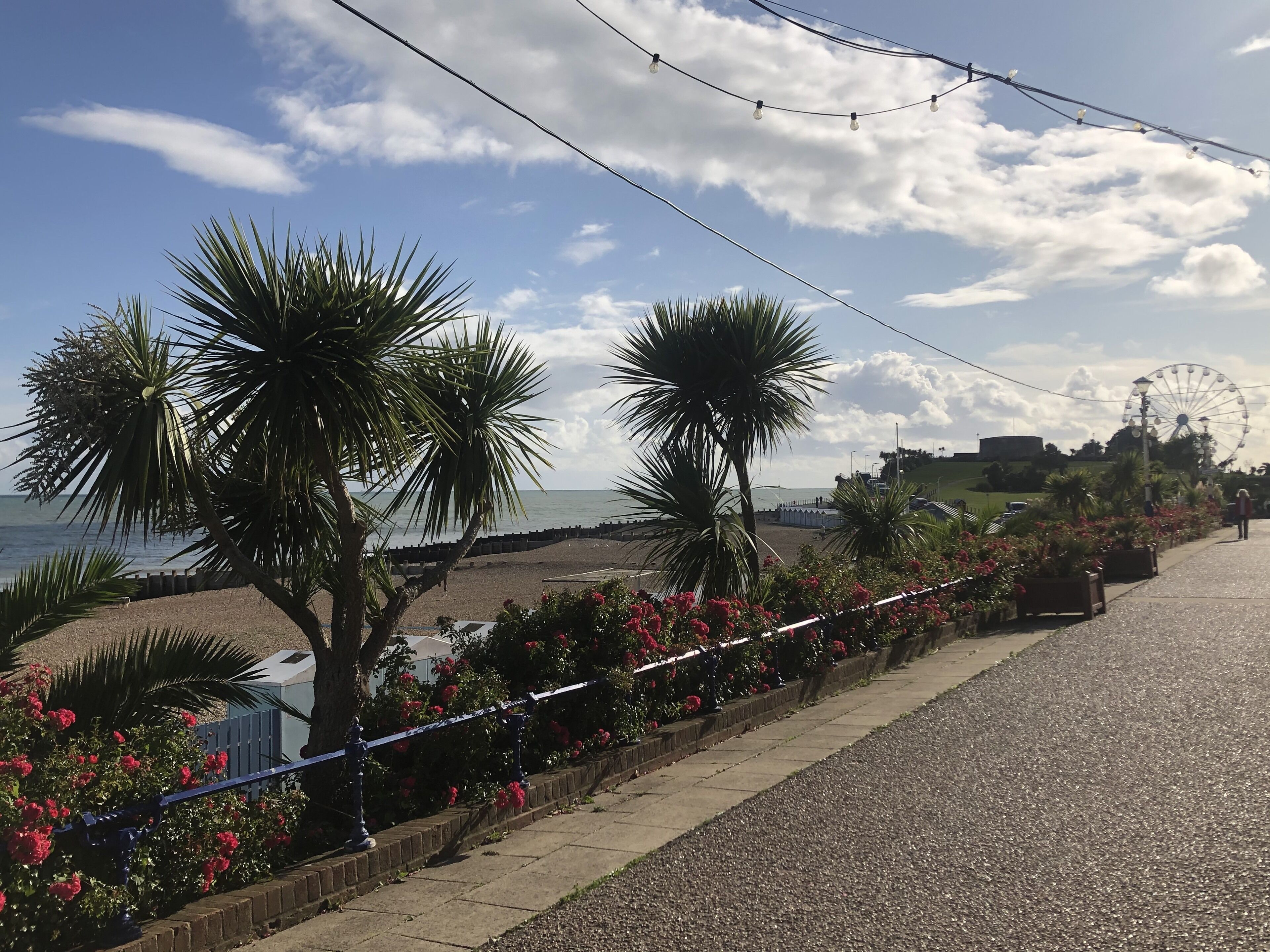 A coastal promenade with palm trees, a beach, and a Ferris wheel in the background.