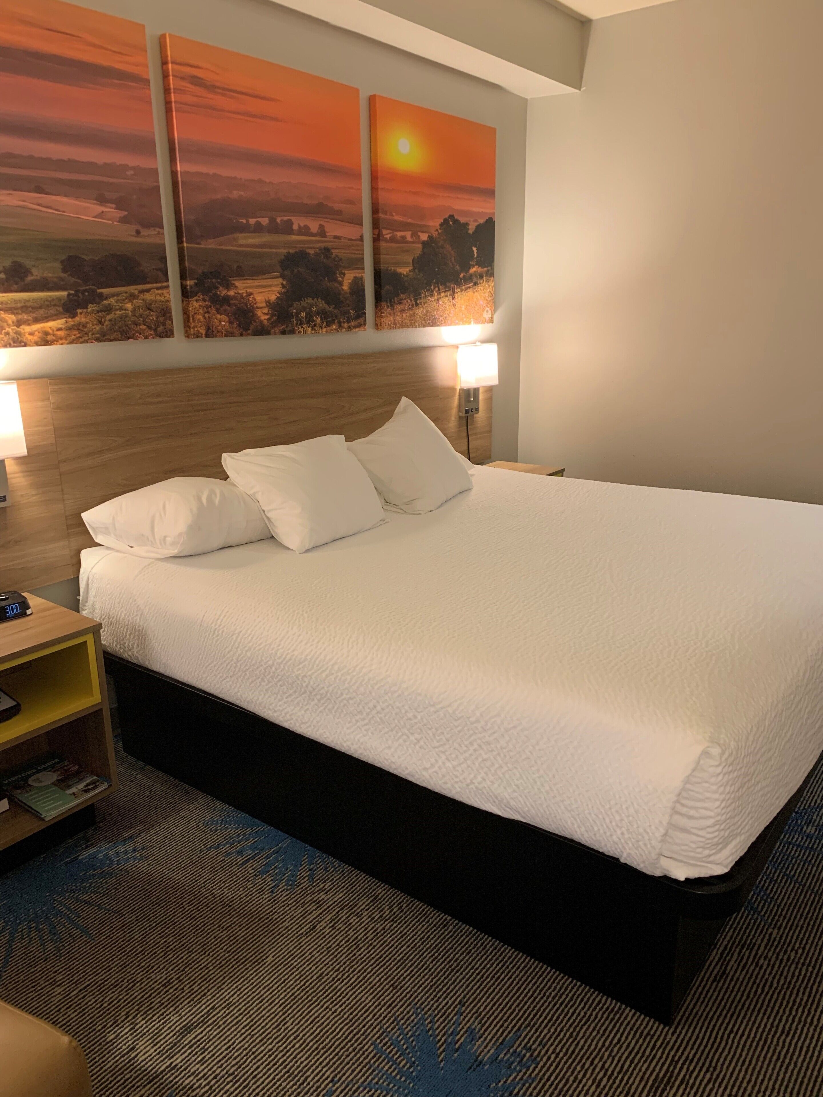 Habitación de hotel con una cama grande, dos lámparas de noche, un cabecero de madera y una pared con tres cuadros de paisajes.