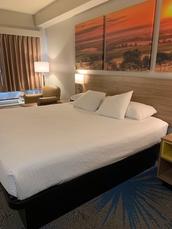 Desk, iron/ironing board, free cribs/infant beds, rollaway beds