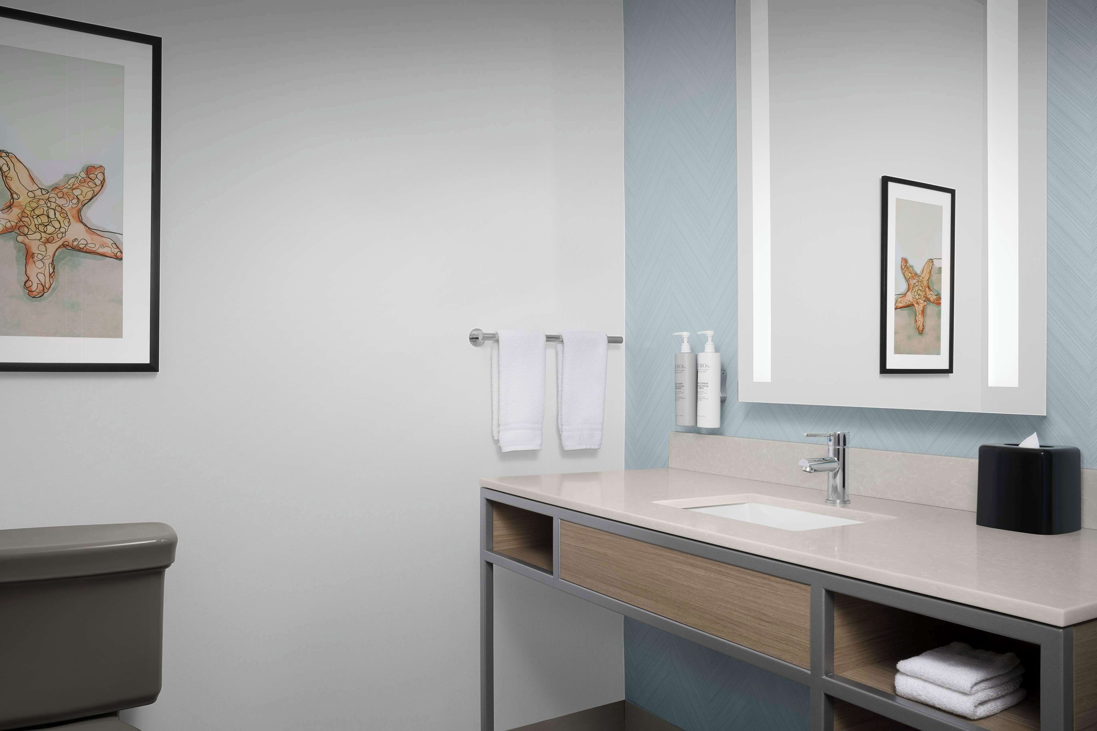 presidential suite, 1 king | bathroom | shower, free toiletries, hair dryer, towels