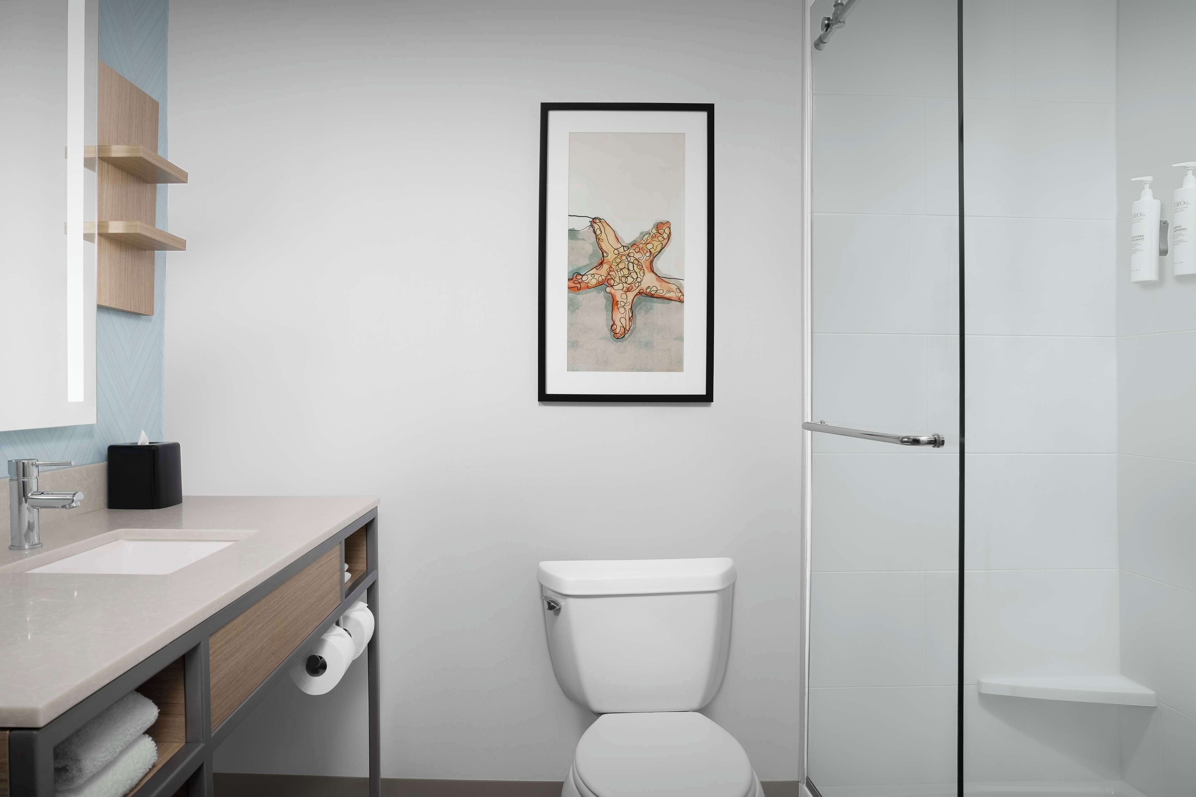 Baño moderno con lavamanos, inodoro y ducha. Se observa una obra de arte enmarcada con una estrella de mar en la pared.
