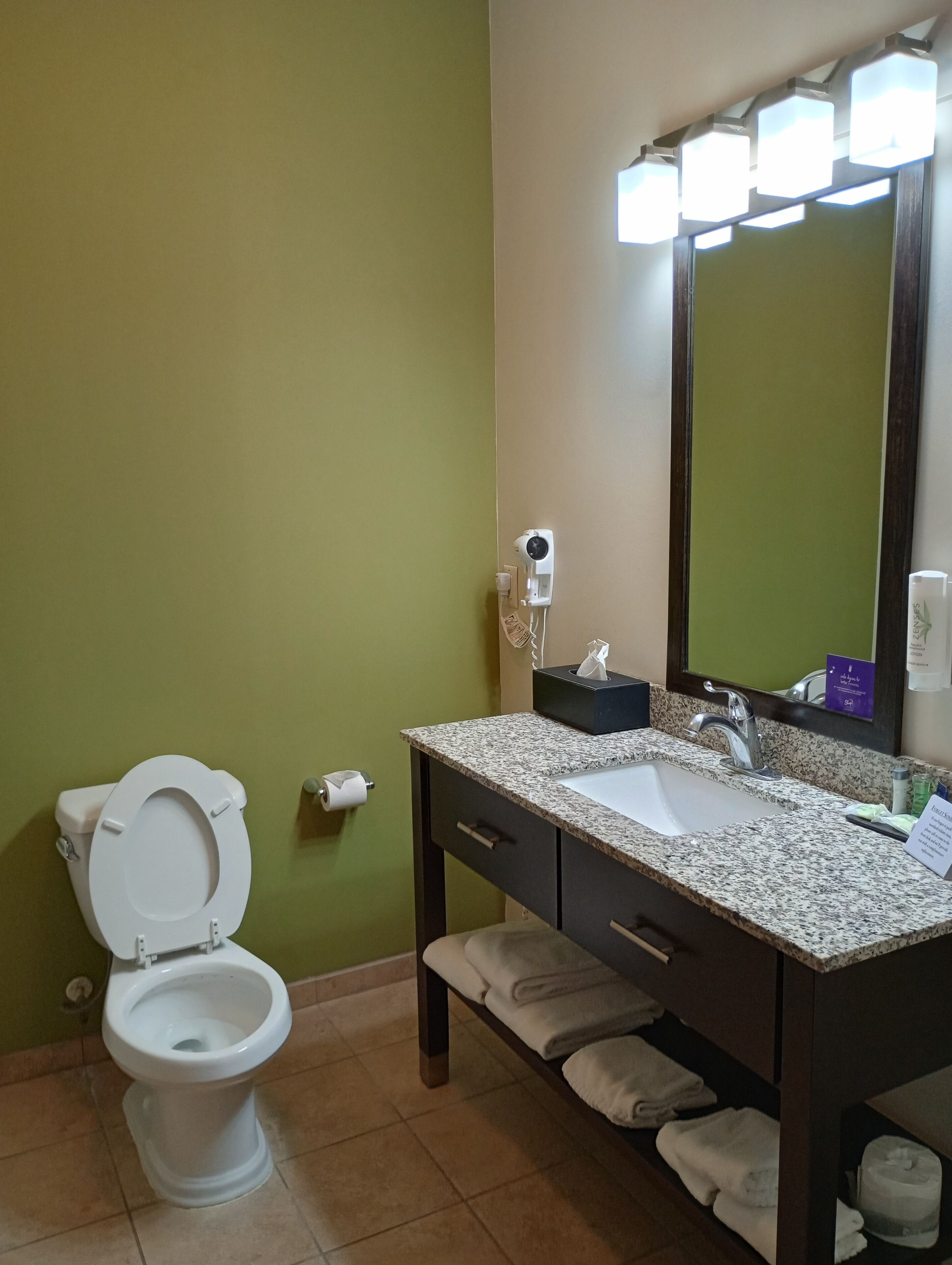 Une salle de bain avec des toilettes, un lavabo et un miroir.
