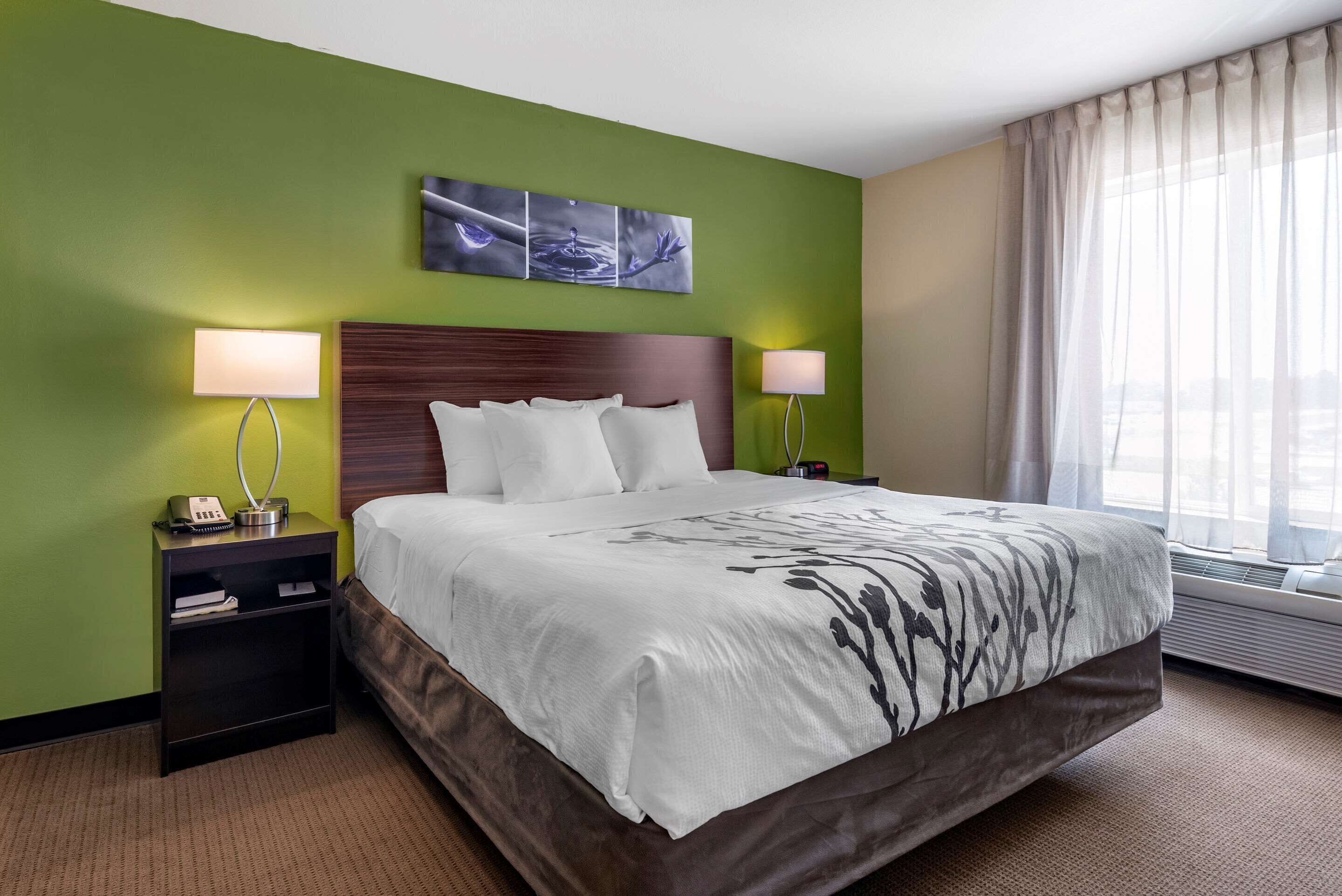 办公桌、熨斗/熨衣板、免费婴儿床、免费 WiFi