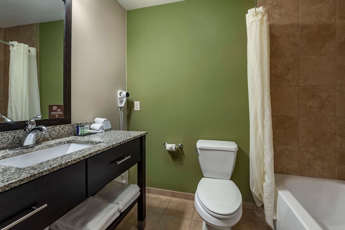 Bathroom | Free toiletries, hair dryer, towels, soap