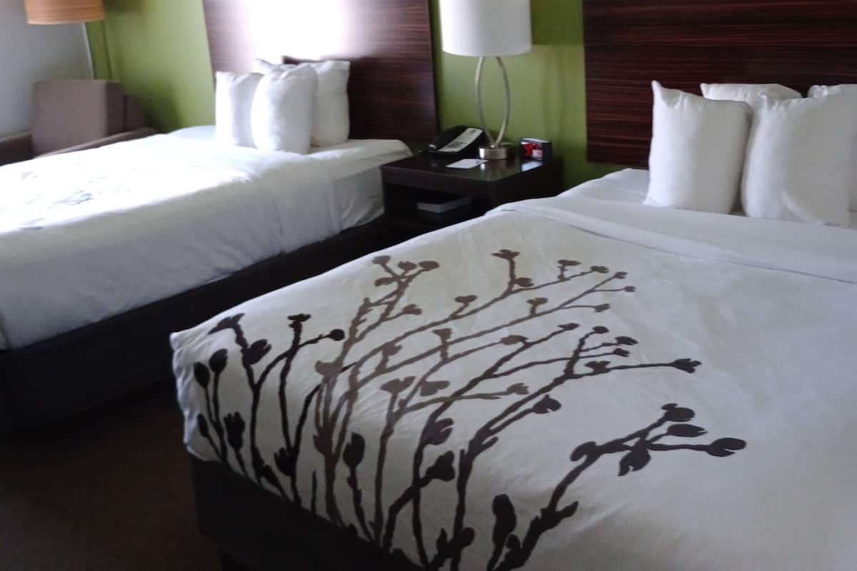 Chambre, 2 grands lits, non-fumeur (Pet Friendly)