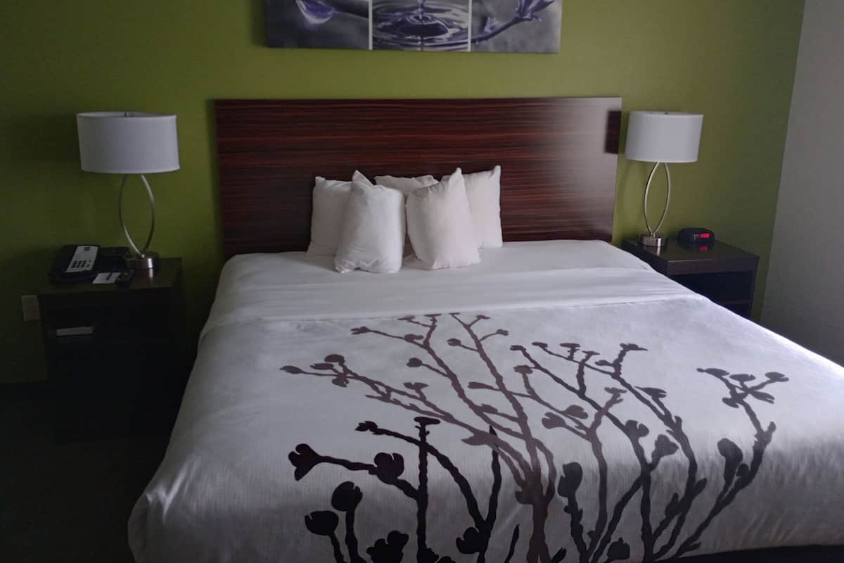Chambre, 1 très grand lit et 1 canapé-lit, accessible aux personnes à mobilité réduite, non-fumeur