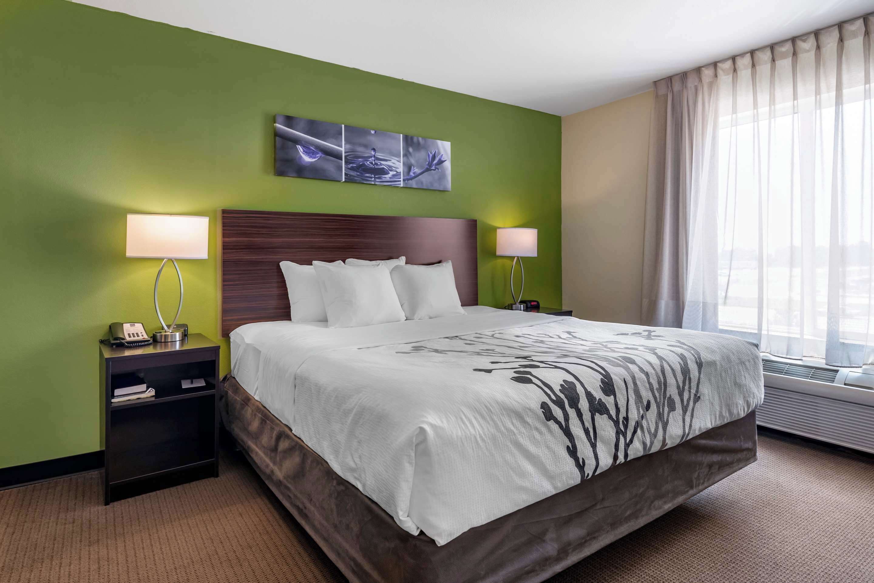 办公桌、熨斗/熨衣板、免费婴儿床、免费 WiFi