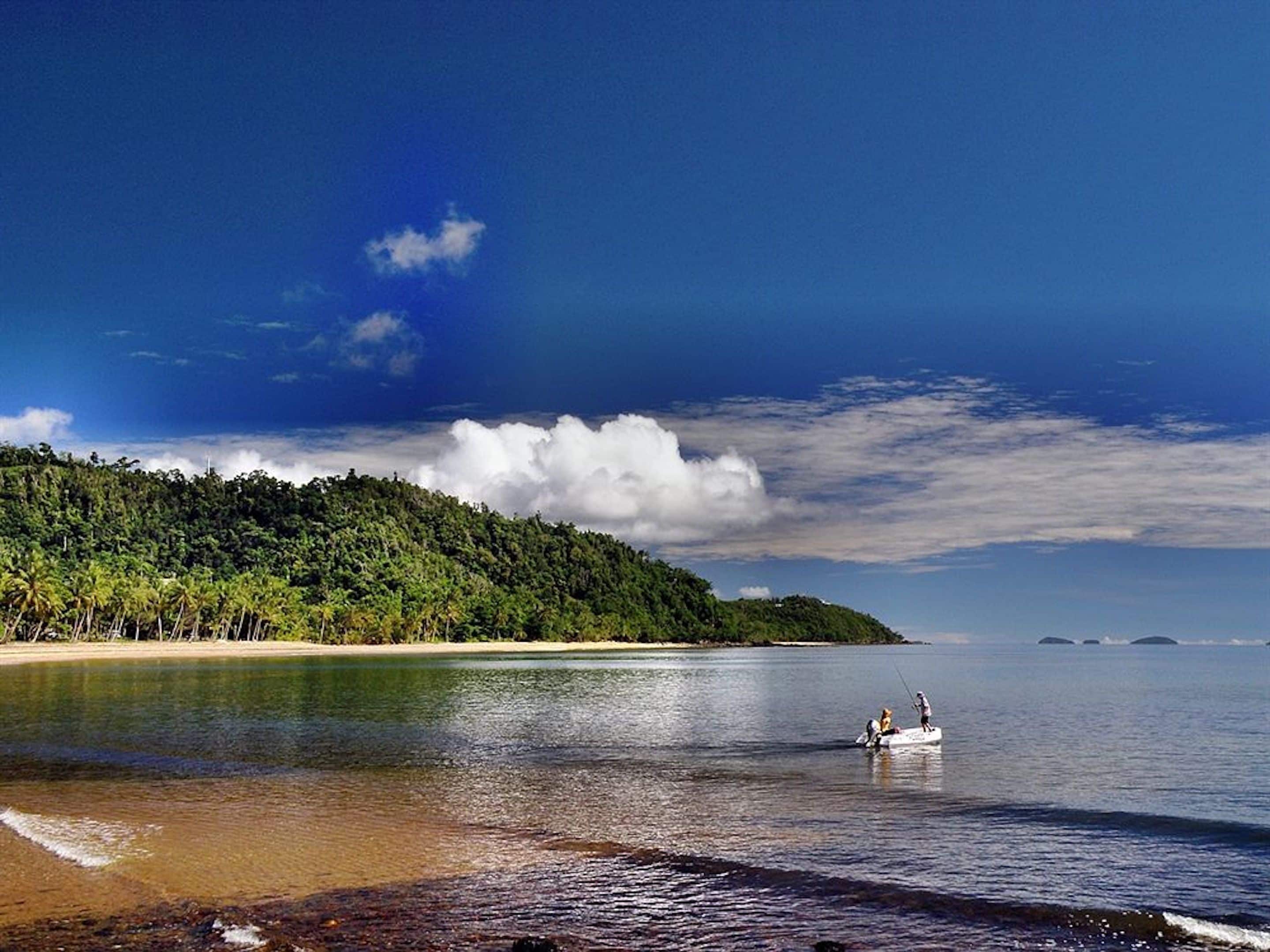 A beach with a boat and people fishing, surrounded by a forested area and calm water.