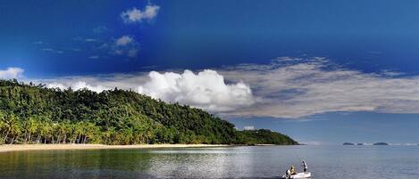 A beach with a boat and people fishing, surrounded by a forested area and calm water.