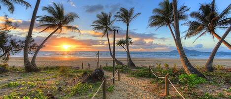 Una playa con palmeras, una barrera de cuerda y un atardecer al fondo.