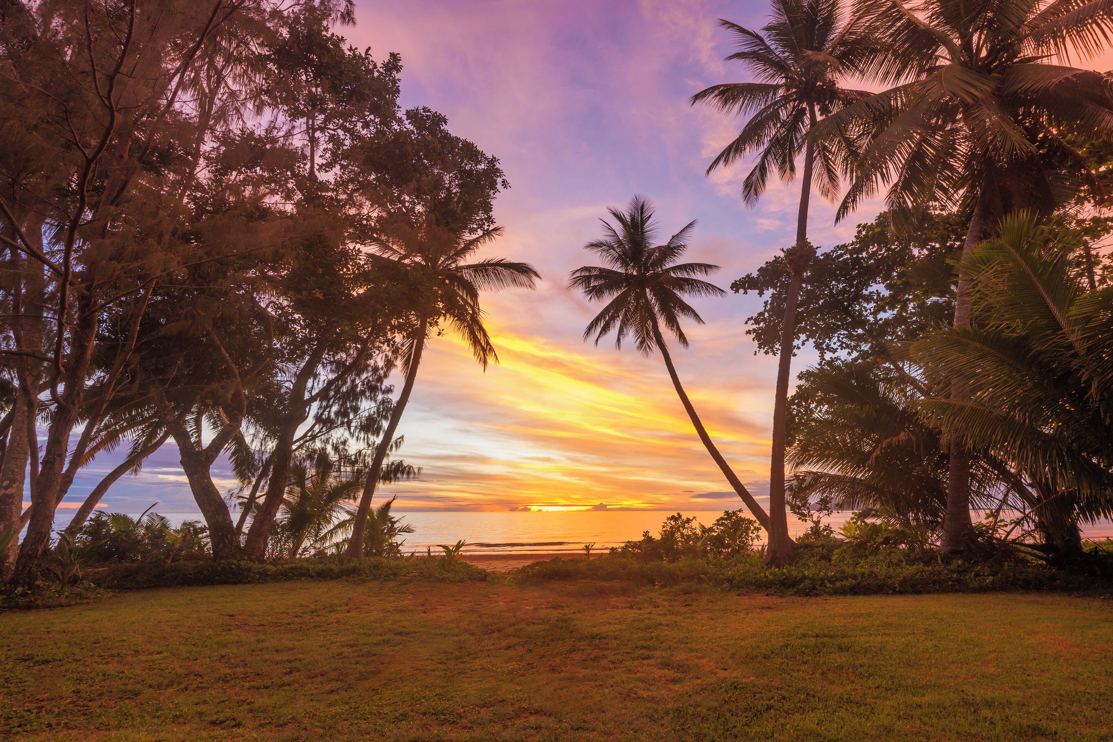 Vista al atardecer con palmeras y un campo cubierto de hierba.