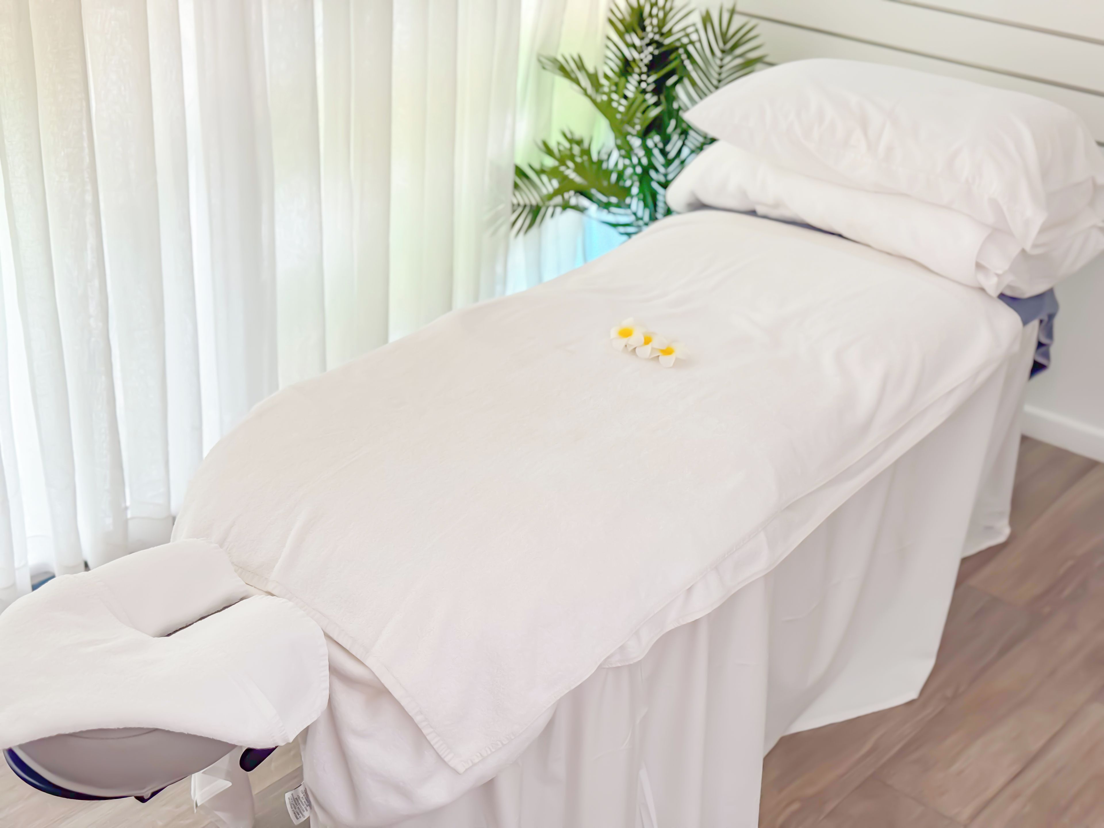 Una cama bien hecha con una colcha blanca y almohadas, una planta pequeña y una almohada blanca en el suelo.