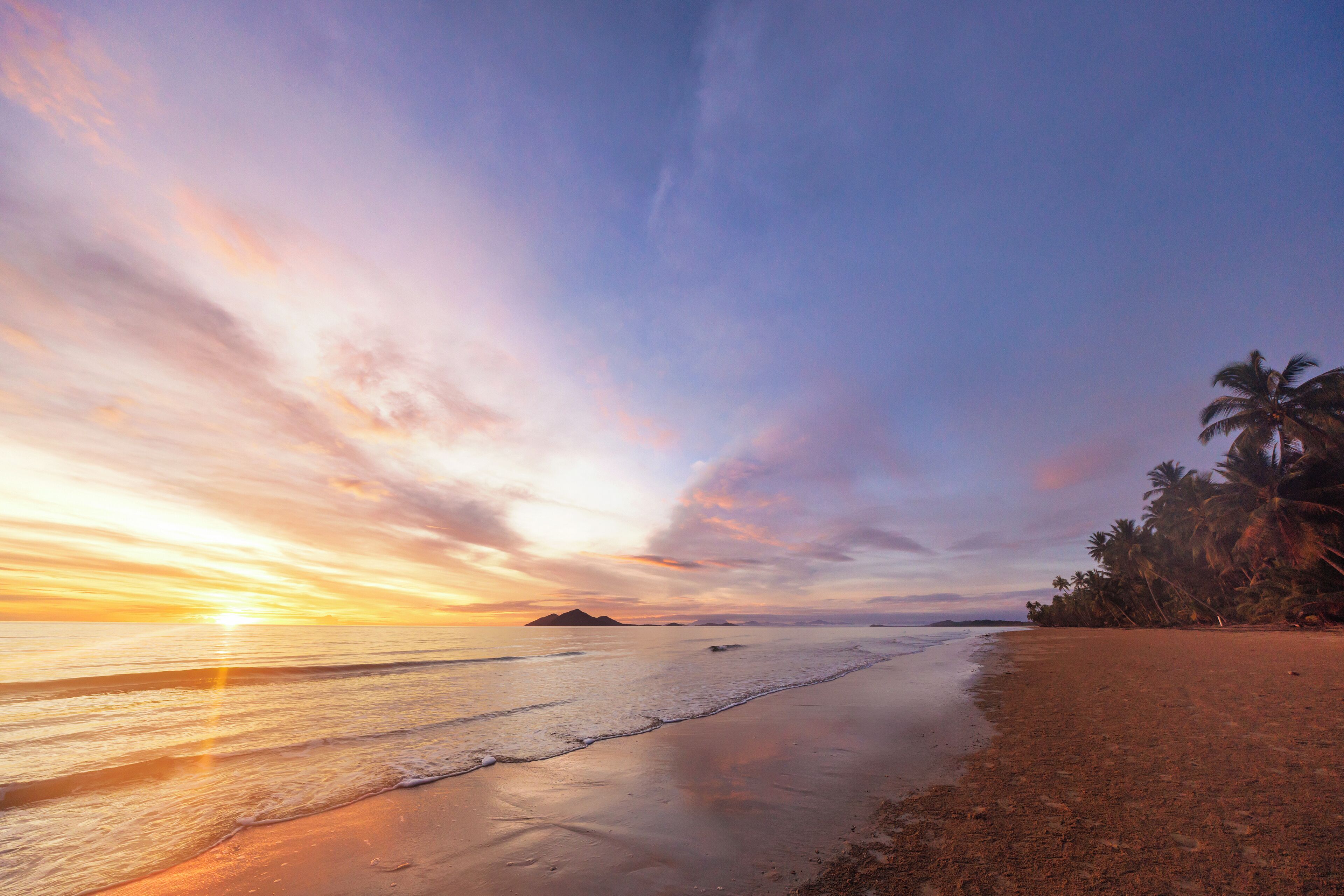A beach with a sunset, palm trees, and calm waters.