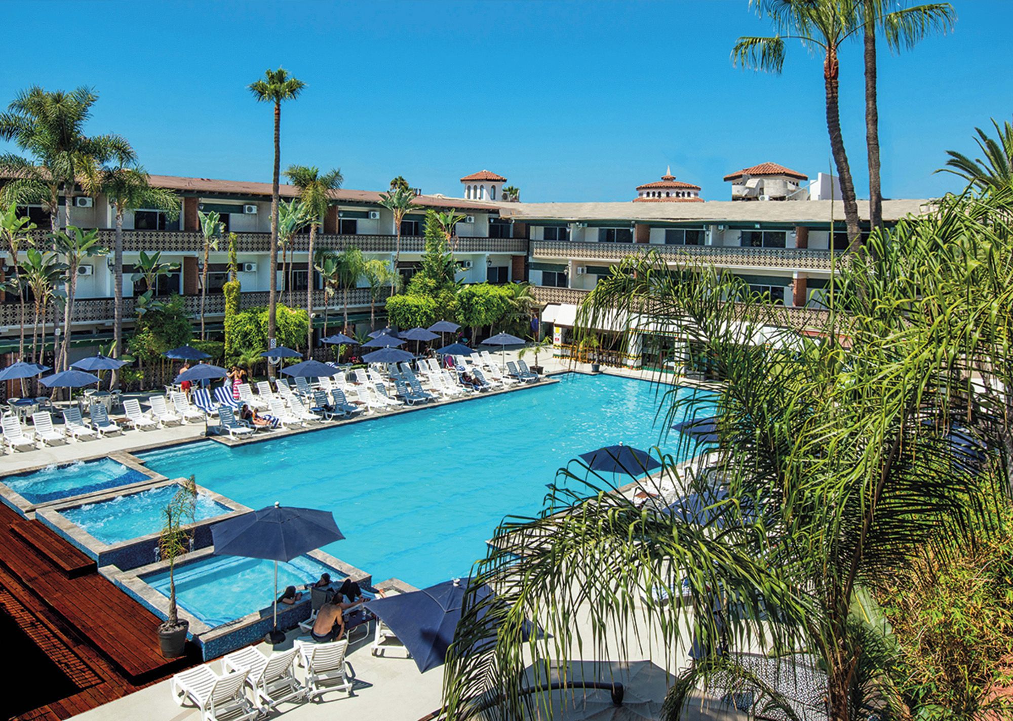 A hotel pool area with multiple lounge chairs and umbrellas, surrounded by palm trees and a clear blue sky.