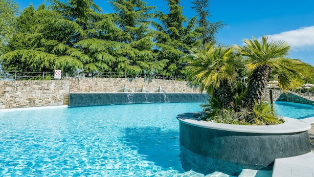 A clear blue pool surrounded by stone walls and lush greenery, including tall trees and a palm tree. - Parc Hotel (Castelnuovo del Garda)