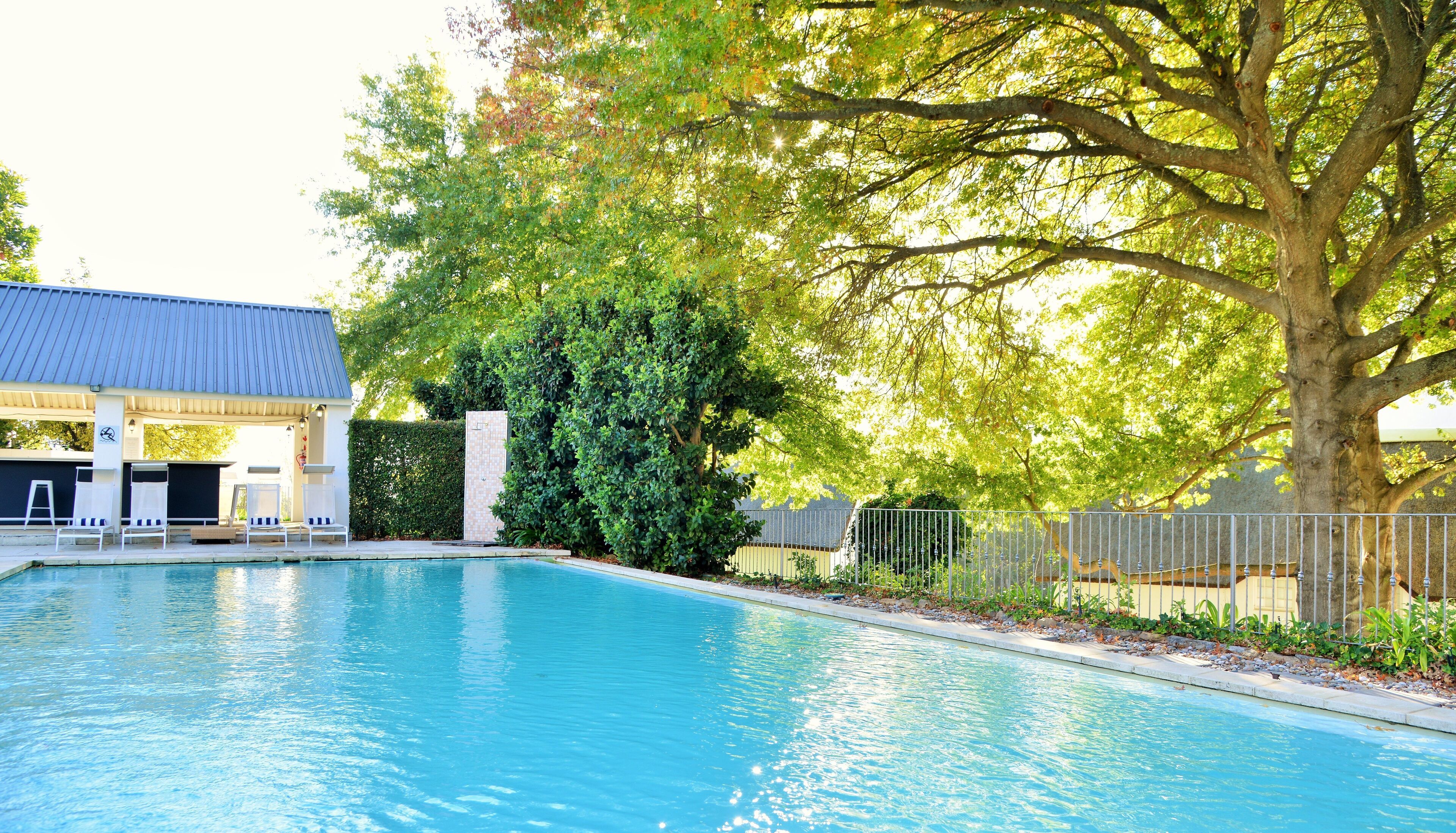 outdoor pool, pool umbrellas, pool loungers