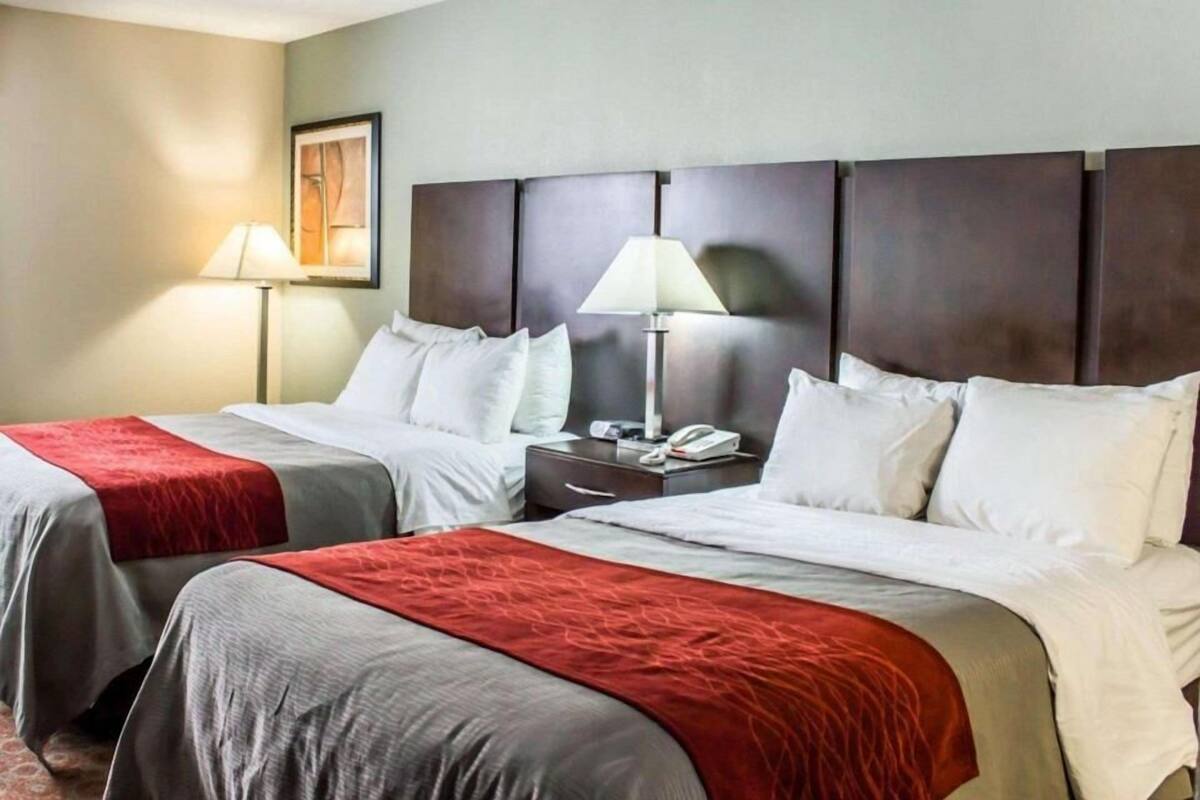 A hotel room with two beds, a nightstand with a lamp, a phone, and a framed picture on the wall.