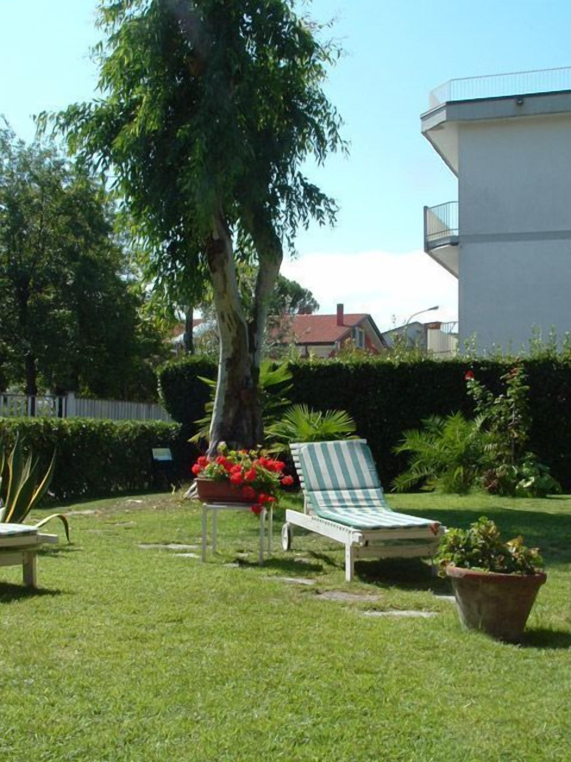 A grassy outdoor area with a lounge chair, a potted plant, and a tree.