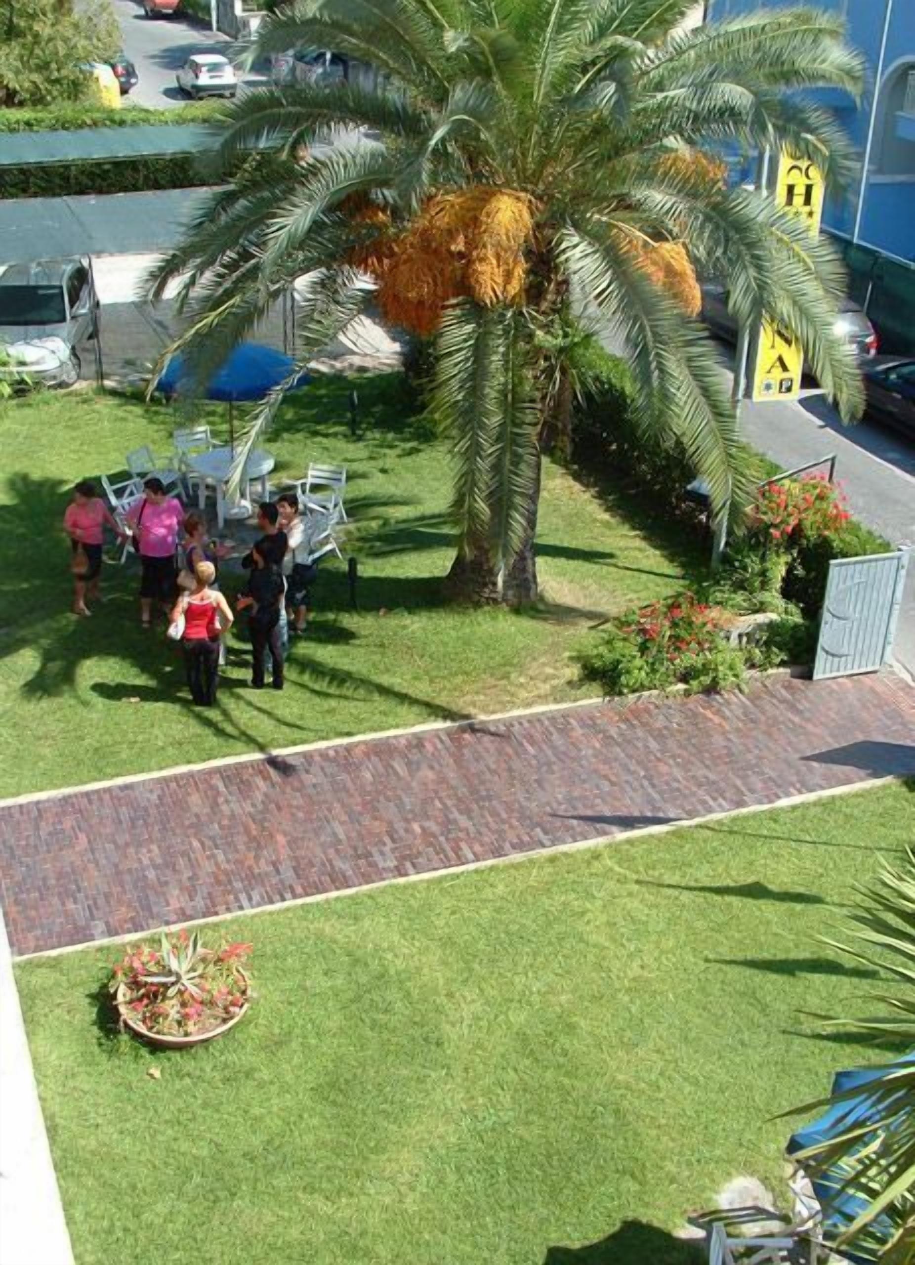 A courtyard with palm trees, a paved walkway, and outdoor seating.