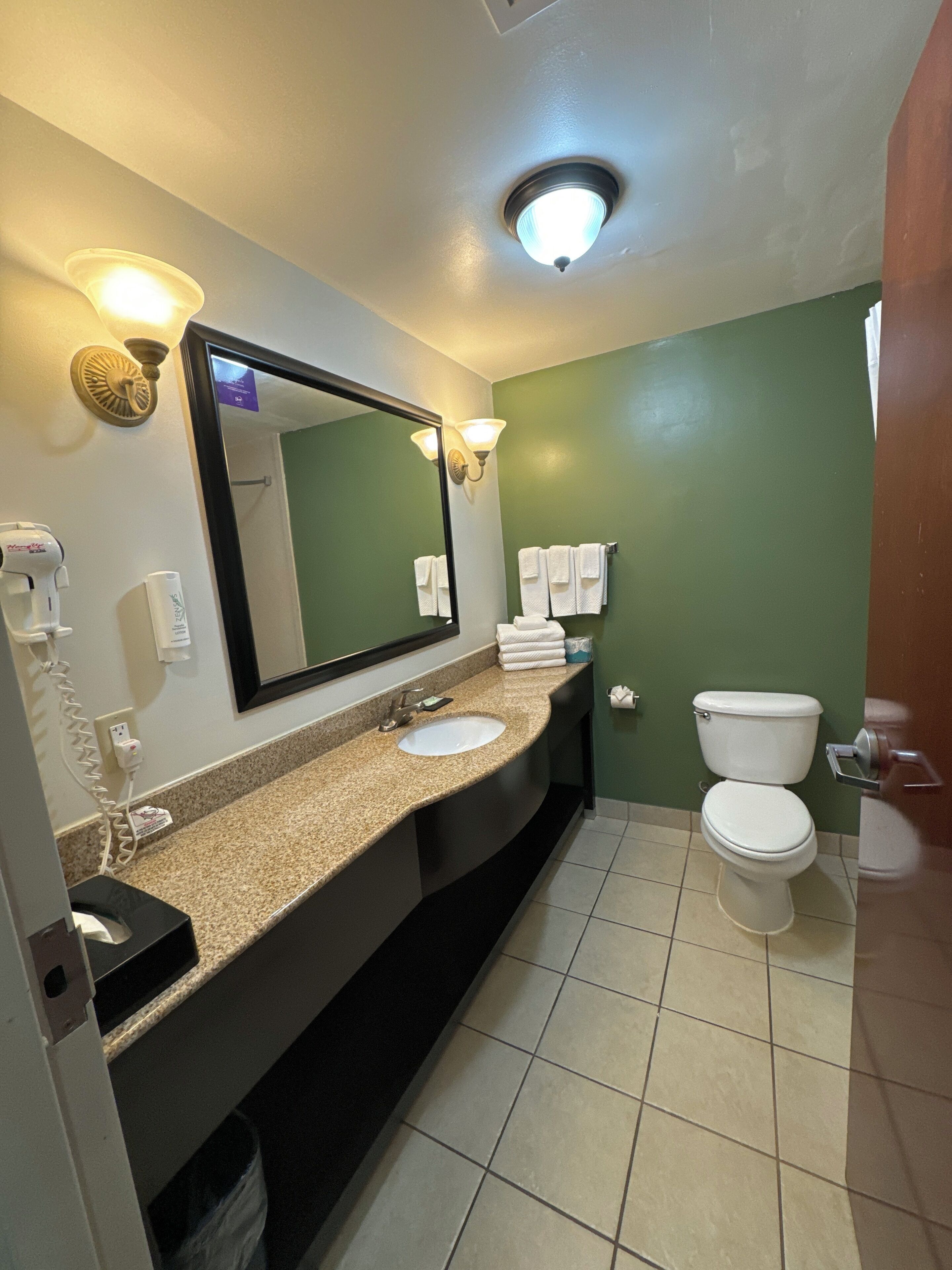 combined shower/bathtub, free toiletries, hair dryer, towels