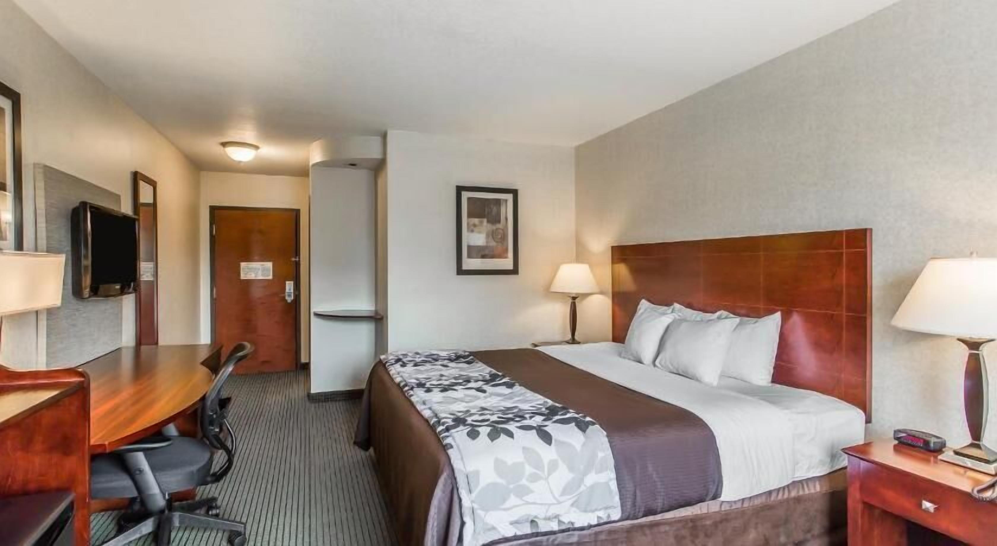 Schreibtisch, laptopgeeigneter Arbeitsplatz, Verdunkelungsvorhänge