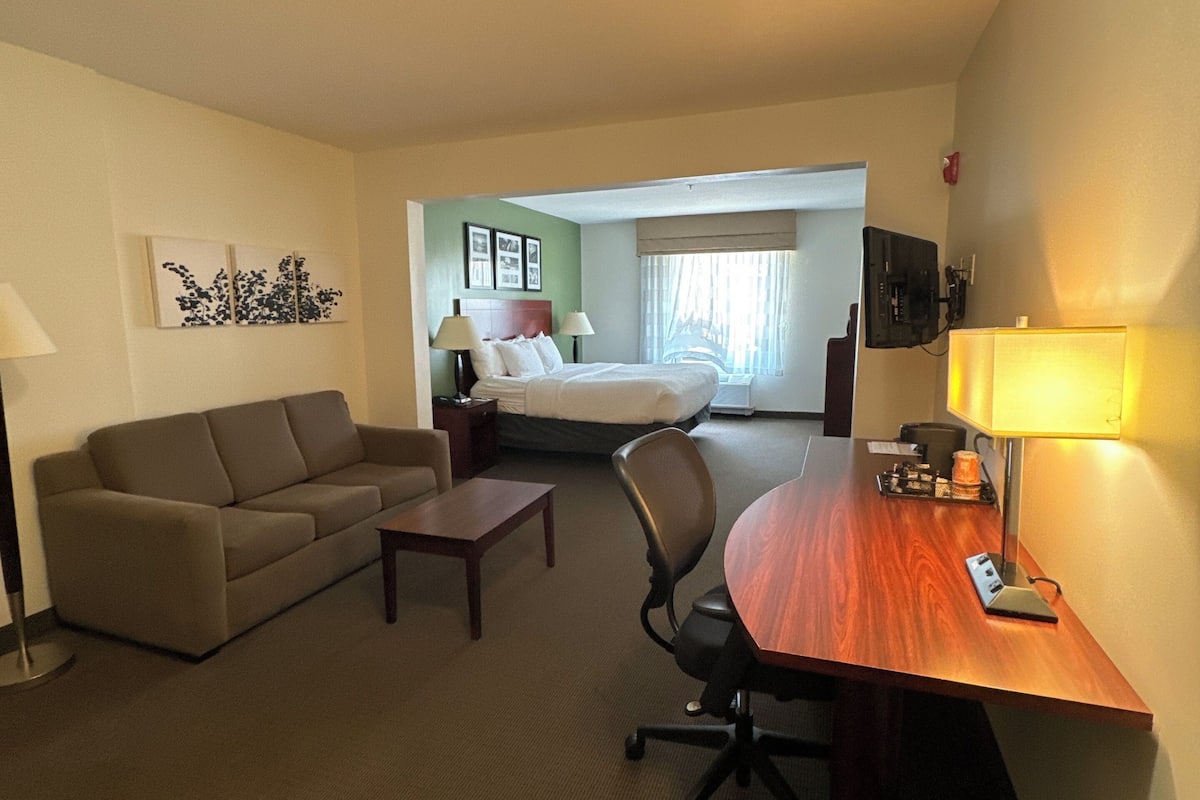 A hotel room with a bed, a sofa, a desk, and a chair.
