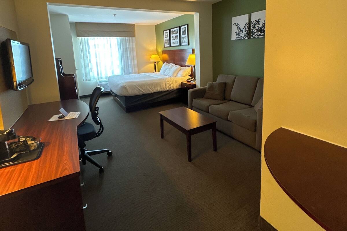 A hotel room with a bed, a sofa, a desk, and a television.